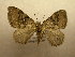  ( - 10-CRBS-511)  @14 [ ] Unspecified (default): All Rights Reserved  Unspecified Unspecified