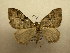 ( - 10-CRBS-512)  @14 [ ] Unspecified (default): All Rights Reserved  Unspecified Unspecified