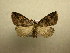  ( - 10-CRBS-516)  @13 [ ] Unspecified (default): All Rights Reserved  Unspecified Unspecified