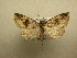  ( - 10-CRBS-518)  @13 [ ] Unspecified (default): All Rights Reserved  Unspecified Unspecified