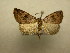  ( - 10-CRBS-519)  @14 [ ] Unspecified (default): All Rights Reserved  Unspecified Unspecified