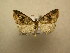  ( - 10-CRBS-520)  @14 [ ] Unspecified (default): All Rights Reserved  Unspecified Unspecified