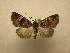  ( - 10-CRBS-525)  @13 [ ] Unspecified (default): All Rights Reserved  Unspecified Unspecified