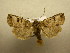  ( - 10-CRBS-528)  @13 [ ] No Rights Reserved (2010) Unspecified Research Collection of J. B. Sullivan