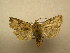  ( - 10-CRBS-530)  @13 [ ] No Rights Reserved (2010) Unspecified Research Collection of J. B. Sullivan