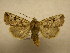  ( - 10-CRBS-533)  @14 [ ] No Rights Reserved (2010) Unspecified Research Collection of J. B. Sullivan