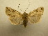  ( - 10-CRBS-537)  @13 [ ] No Rights Reserved (2010) Unspecified Research Collection of J. B. Sullivan