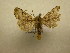  ( - 10-CRBS-538)  @13 [ ] No Rights Reserved (2010) Unspecified Research Collection of J. B. Sullivan