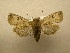  ( - 10-CRBS-540)  @13 [ ] No Rights Reserved (2010) Unspecified Research Collection of J. B. Sullivan