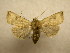  ( - 10-CRBS-541)  @13 [ ] No Rights Reserved (2010) Unspecified Research Collection of J. B. Sullivan