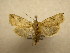 ( - 10-CRBS-542)  @13 [ ] No Rights Reserved (2010) Unspecified Research Collection of J. B. Sullivan