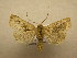  ( - 10-CRBS-543)  @14 [ ] No Rights Reserved (2010) Unspecified Research Collection of J. B. Sullivan