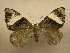  ( - 10-CRBS-551)  @13 [ ] No Rights Reserved (2010) Unspecified Research Collection of J. B. Sullivan