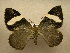  ( - 10-CRBS-552)  @13 [ ] No Rights Reserved (2010) Unspecified Research Collection of J. B. Sullivan