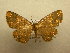  ( - 10-CRBS-567)  @13 [ ] No Rights Reserved (2010) Unspecified Research Collection of J. B. Sullivan