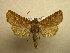  ( - 10-CRBS-571)  @14 [ ] No Rights Reserved (2010) Unspecified Research Collection of J. B. Sullivan