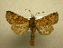 ( - 10-CRBS-572)  @14 [ ] No Rights Reserved (2010) Unspecified Research Collection of J. B. Sullivan