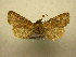  ( - 10-CRBS-574)  @13 [ ] No Rights Reserved (2010) Unspecified Research Collection of J. B. Sullivan