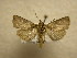  ( - 10-CRBS-586)  @13 [ ] No Rights Reserved (2010) Unspecified Research Collection of J. B. Sullivan
