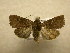  ( - 10-CRBS-588)  @14 [ ] No Rights Reserved (2010) Unspecified Research Collection of J. B. Sullivan
