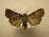  ( - 10-CRBS-609)  @14 [ ] No Rights Reserved (2010) Unspecified Research Collection of J. B. Sullivan