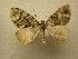  ( - 10-CRBS-615)  @14 [ ] No Rights Reserved (2010) Unspecified Research Collection of J. B. Sullivan