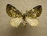  ( - 10-CRBS-616)  @14 [ ] No Rights Reserved (2010) Unspecified Research Collection of J. B. Sullivan
