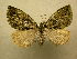  ( - 10-CRBS-624)  @13 [ ] No Rights Reserved (2010) Unspecified Research Collection of J. B. Sullivan