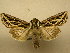  ( - 10-CRBS-700)  @13 [ ] No Rights Reserved (2010) Unspecified Research Collection of J. B. Sullivan