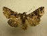  ( - 10-CRBS-706)  @13 [ ] No Rights Reserved (2010) Unspecified Research Collection of J. B. Sullivan