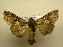  ( - 10-CRBS-707)  @13 [ ] No Rights Reserved (2010) Unspecified Research Collection of J. B. Sullivan