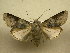  ( - 10-CRBS-740)  @13 [ ] No Rights Reserved (2010) Unspecified Research Collection of J. B. Sullivan
