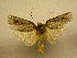  ( - 10-CRBS-750)  @13 [ ] No Rights Reserved (2010) Unspecified Research Collection of J. B. Sullivan