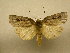  ( - 10-CRBS-751)  @13 [ ] No Rights Reserved (2010) Unspecified Research Collection of J. B. Sullivan