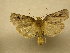 ( - 10-CRBS-752)  @13 [ ] No Rights Reserved (2010) Unspecified Research Collection of J. B. Sullivan