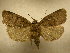  ( - 10-CRBS-755)  @14 [ ] No Rights Reserved (2010) Unspecified Research Collection of J. B. Sullivan