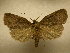  ( - 10-CRBS-756)  @14 [ ] No Rights Reserved (2010) Unspecified Research Collection of J. B. Sullivan