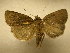 ( - 10-CRBS-757)  @14 [ ] No Rights Reserved (2010) Unspecified Research Collection of J. B. Sullivan