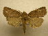  ( - 10-CRBS-758)  @14 [ ] No Rights Reserved (2010) Unspecified Research Collection of J. B. Sullivan