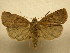  ( - 10-CRBS-759)  @14 [ ] No Rights Reserved (2010) Unspecified Research Collection of J. B. Sullivan