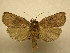  ( - 10-CRBS-760)  @14 [ ] No Rights Reserved (2010) Unspecified Research Collection of J. B. Sullivan
