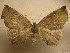  ( - 10-CRBS-765)  @13 [ ] No Rights Reserved (2010) Unspecified Research Collection of J. B. Sullivan