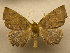  ( - 10-CRBS-768)  @13 [ ] No Rights Reserved (2010) Unspecified Research Collection of J. B. Sullivan