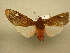  ( - 10-CRBS-782)  @12 [ ] No Rights Reserved (2010) Unspecified Research Collection of J. B. Sullivan