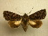  ( - 10-CRBS-791)  @12 [ ] No Rights Reserved (2010) Unspecified Research Collection of J. B. Sullivan