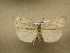  ( - 10-CRBS-820)  @14 [ ] No Rights Reserved (2010) Unspecified Research Collection of J. B. Sullivan