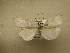  ( - 10-CRBS-821)  @13 [ ] No Rights Reserved (2010) Unspecified Research Collection of J. B. Sullivan
