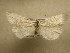  ( - 10-CRBS-827)  @14 [ ] No Rights Reserved (2010) Unspecified Research Collection of J. B. Sullivan