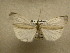  ( - 10-CRBS-828)  @13 [ ] No Rights Reserved (2010) Unspecified Research Collection of J. B. Sullivan