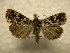  ( - 10-CRBS-914)  @13 [ ] No Rights Reserved (2010) James Sullivan Research Collection of J. B. Sullivan